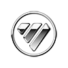 Foton